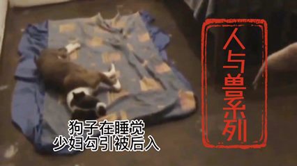 （人与兽系列）少妇勾引正在睡觉的狗狗