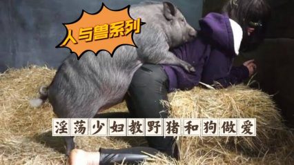 淫荡少妇教野猪和狗做爱