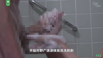 第449期02月08日波姐带娃记！少年强则国强，小小少年性欲强！