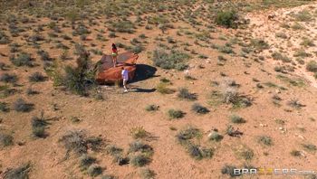 dwp.16.08.20.monique.alexander