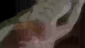 緊-縛-之-館-　-略-奪-（後-編-）